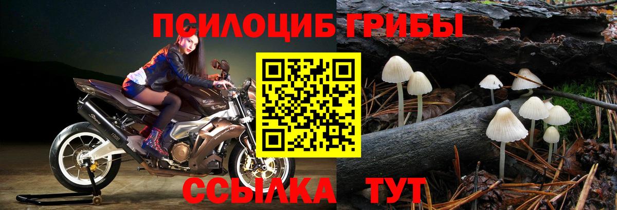 Галлюциногенные грибы GOLDEN TEACHER Красноярск